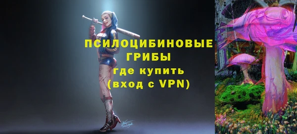 ПСИЛОЦИБИНОВЫЕ ГРИБЫ Абаза