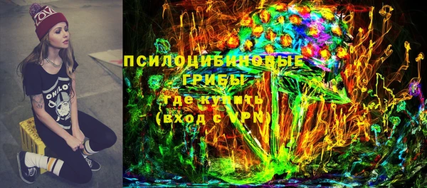 ПСИЛОЦИБИНОВЫЕ ГРИБЫ Абаза