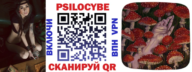 Галлюциногенные грибы Psilocybine cubensis где найти наркотики Сим